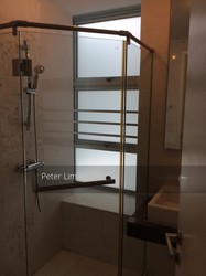 Cairnhill Residences (D9), Apartment #198271922
